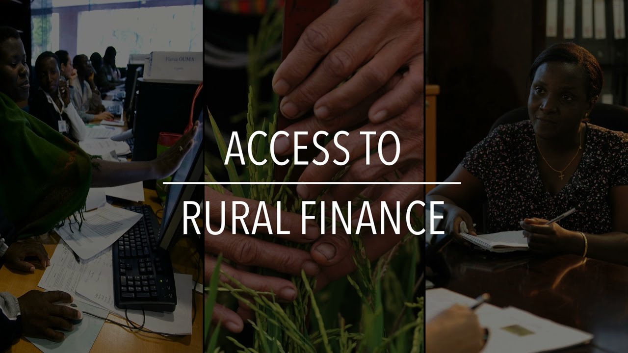FAO Policy Series: Access to Rural Finance