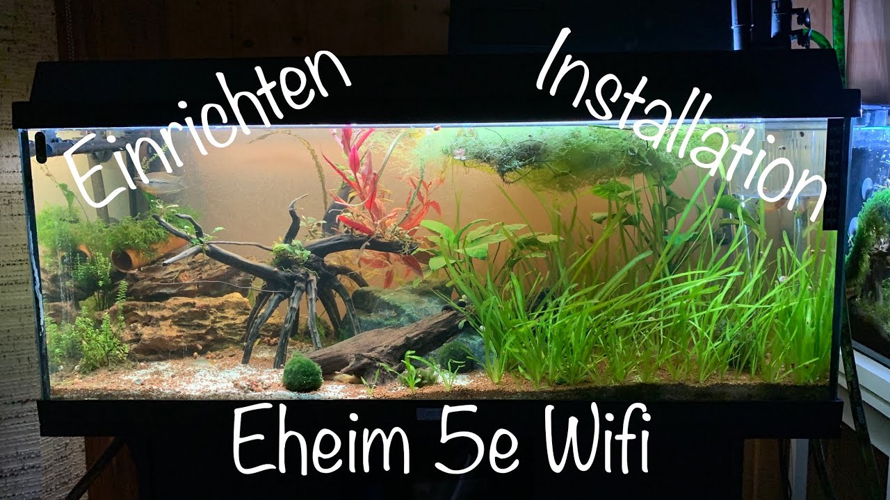 Eheim Professionel 5e Wifi | Installation | Umgestaltung 180l Teil 4