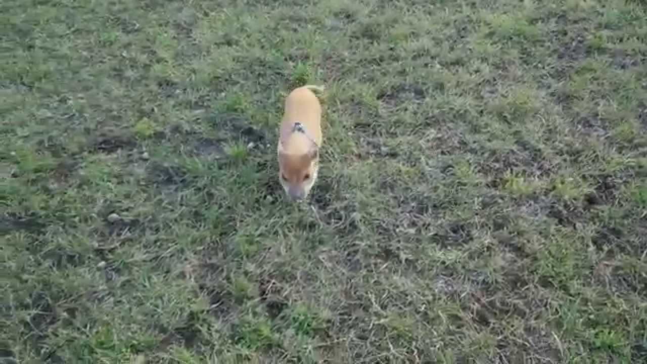 Zoe - send to square :D