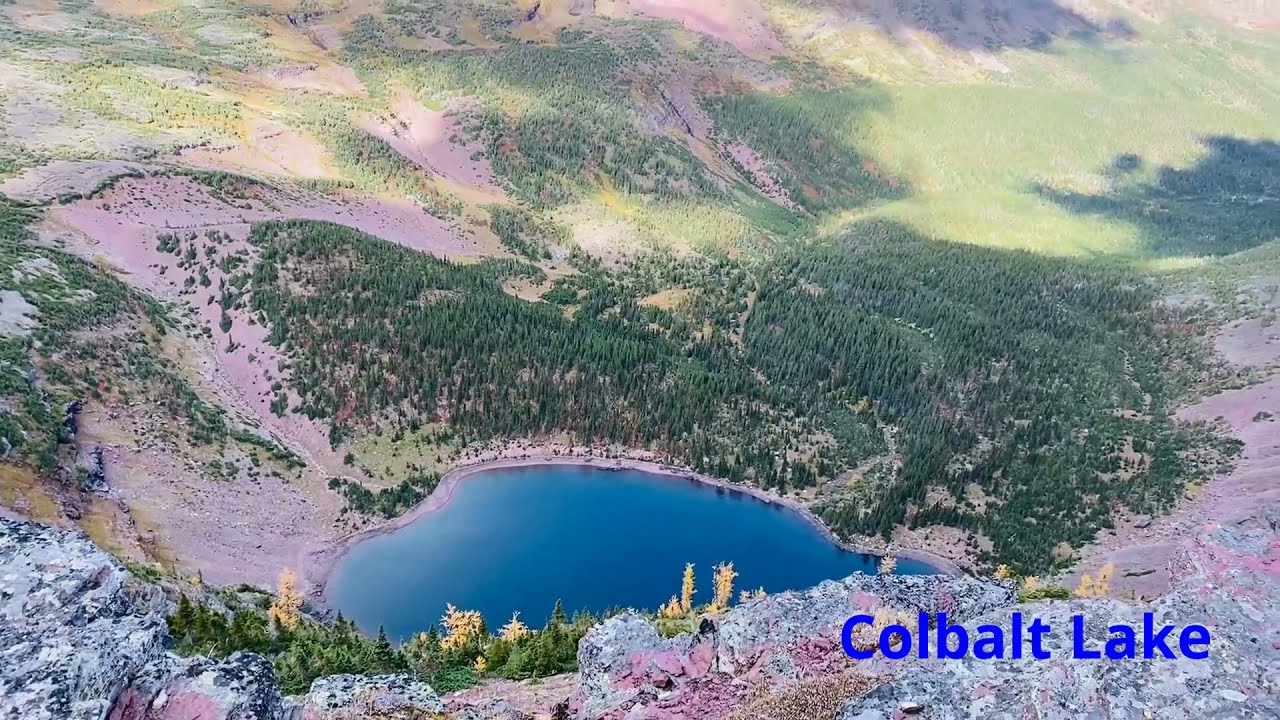 Hiked Two Medicine Pass up to Chief lodgepole peak in Glacier overlooking Colbalt Lake!