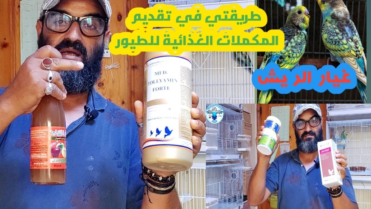 غيار الريش(القلش) عند الطيور و طريقتي في تقديم المكملات الغذائية.