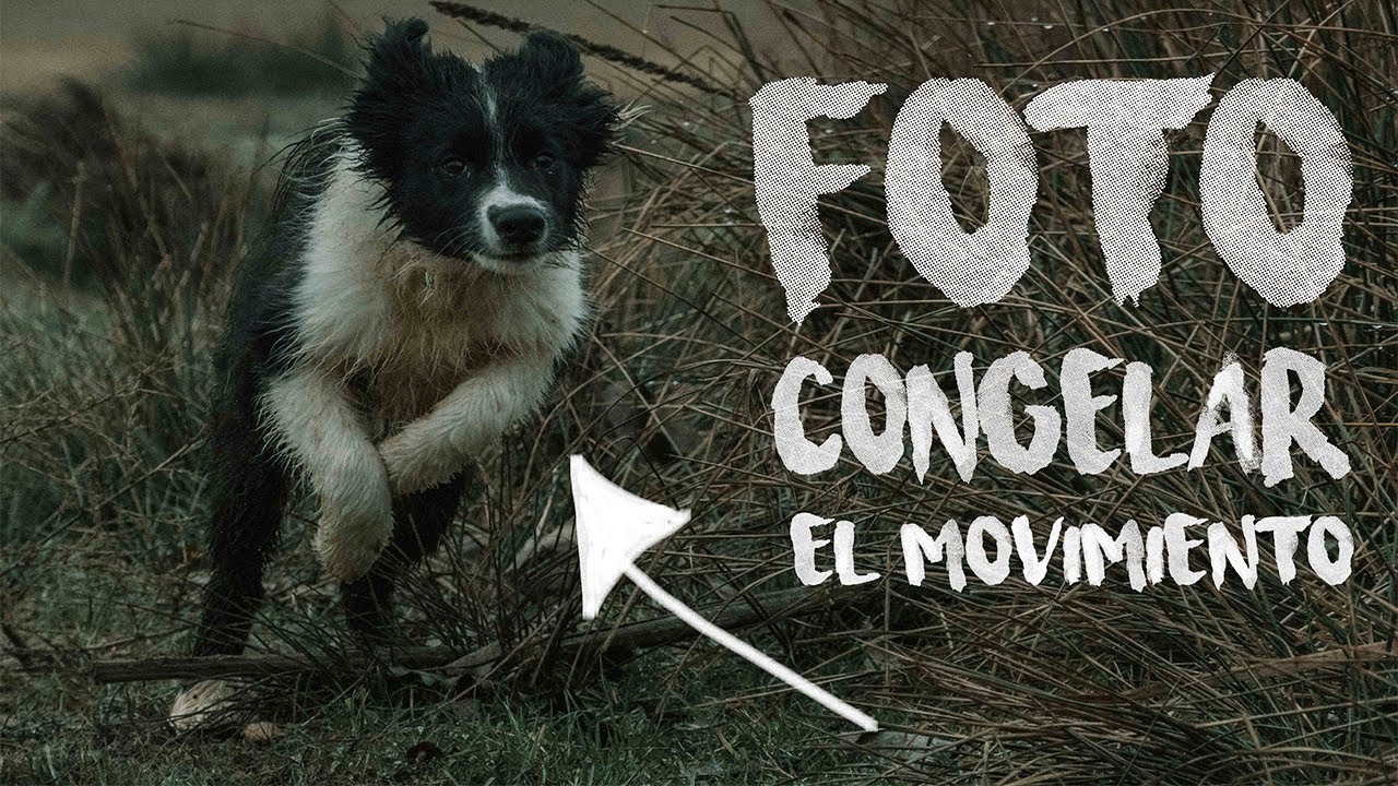 🏃📷 Tutorial ¿Cómo congelar el MOVIMIENTO en la FOTOGRAFÍA? | Murderpink