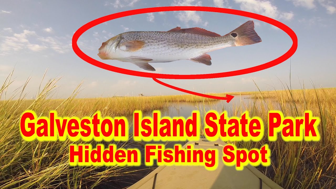 Don't Skip These Spots For Red Drum | Kayak Fishing Galveston Island State Park