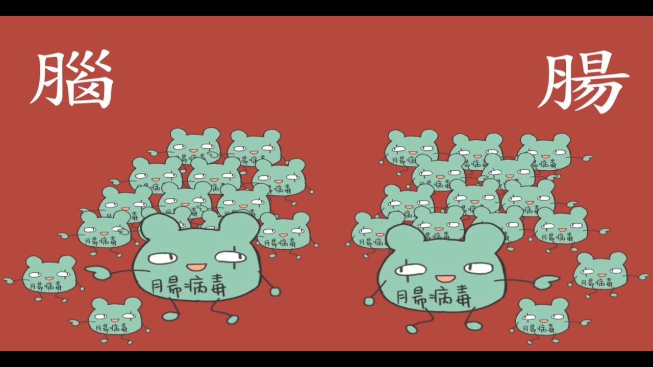 Open House, Virus Out ! 預防腸病毒及流感