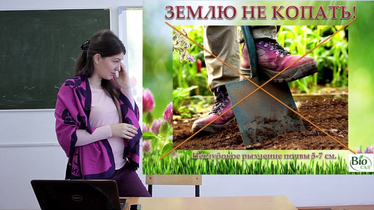 Природное земледелие на садовом участке. С чего начать?