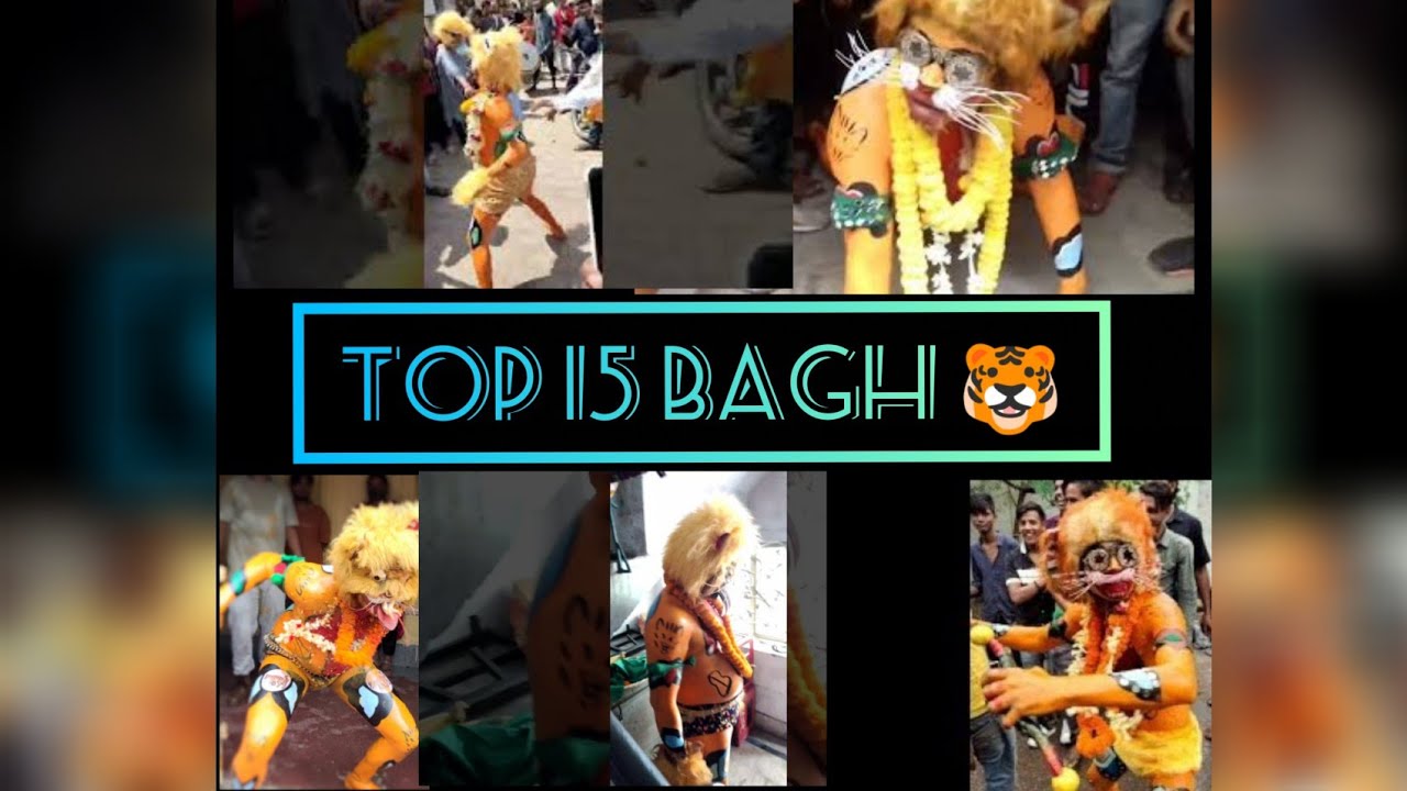 top 15 Old and Interesting Muharram Bagh Videos You Should Watch 🔥