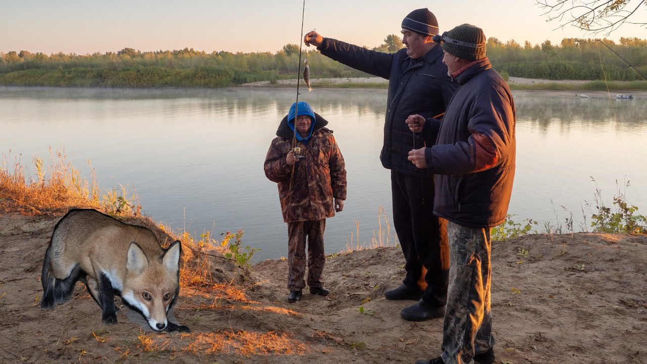 Рыбалка на Ахтубе. Лиса Мороз.Октябрь.