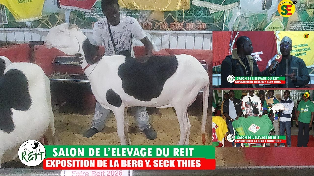 SALON DE L'ELEVAGE DU REIT 2026 / EXPOSITION DE LA BERGERIE YOUSSOU SECK  DE MOMO