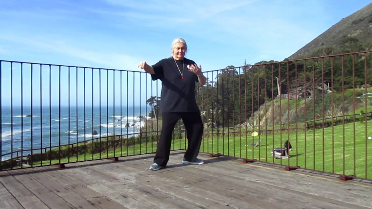 Master Kathy Gill, Wm. C. C. Chen Form - Postures 1 - 20