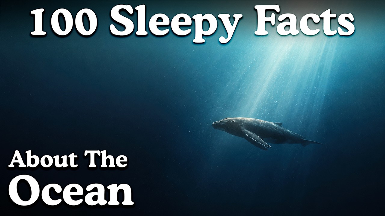 100 Ocean Facts — Drift Off to Marine Science