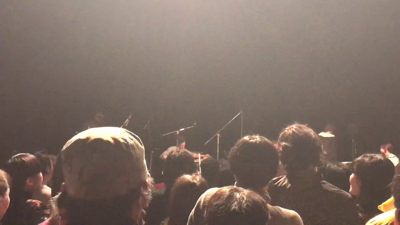 Aldous Harding - Elation (@ Japan Tour 191215)