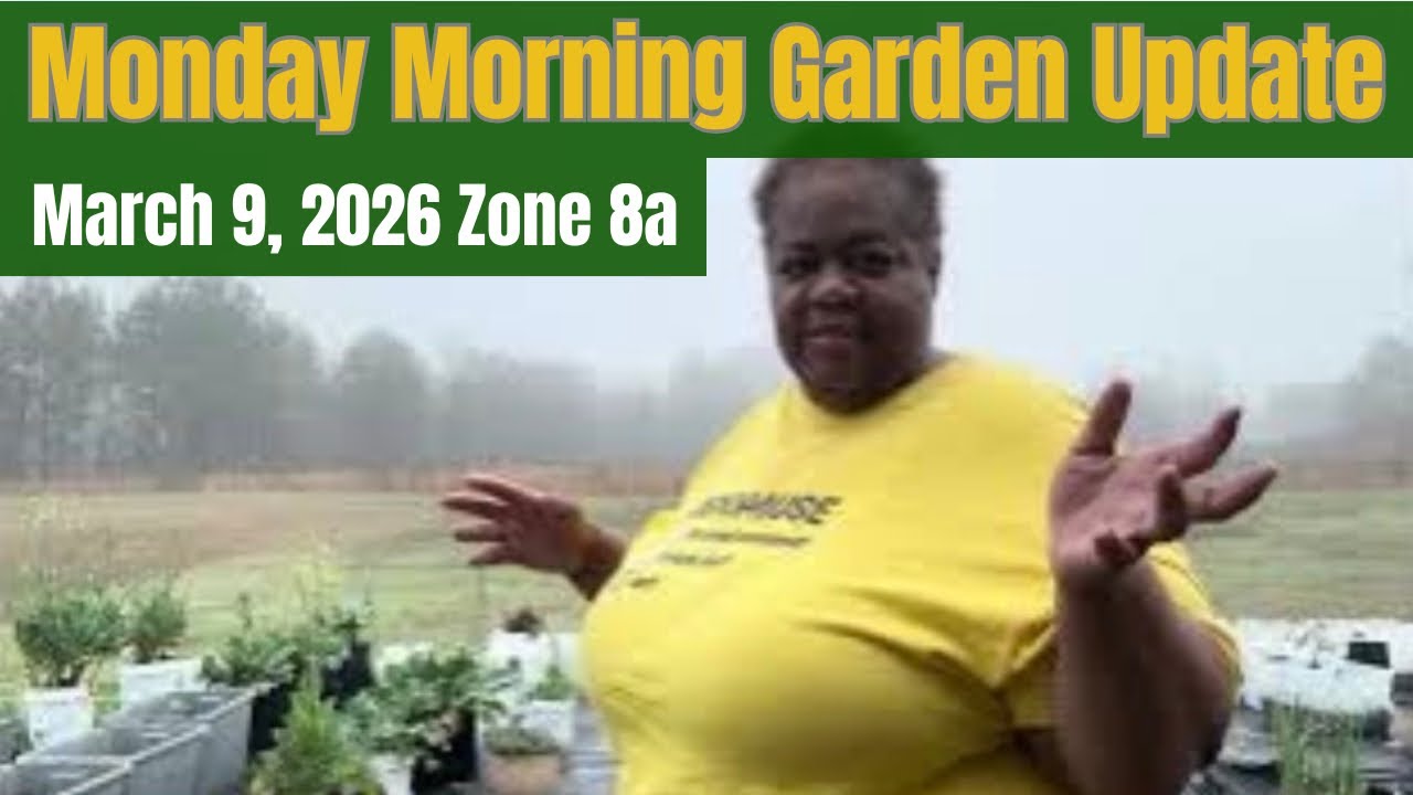 Morning Garden Update- planting and expansion plans