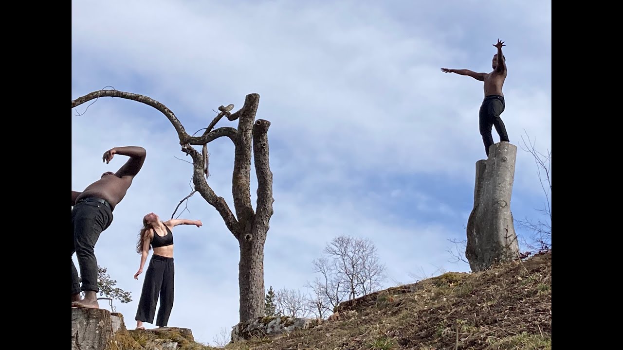 SENFORESTER par la compagnie Kane