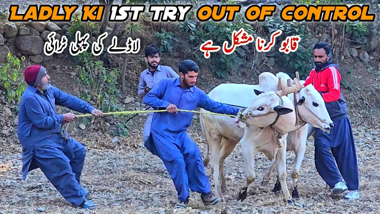 1st Try Ladla Out Of Control 🙉 MB Vlogs 
