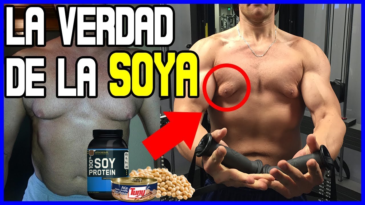 &iquest;LA SOYA 