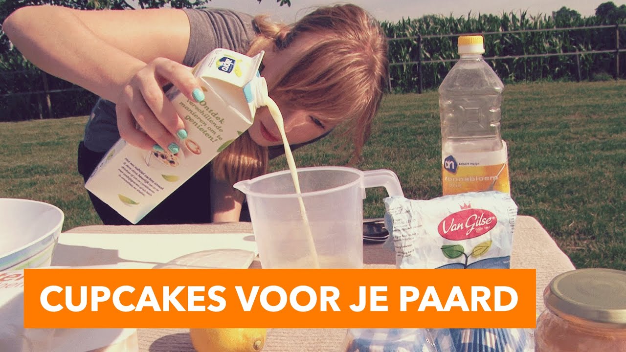 Paarden cupcakes met vanille l PaardenpraatTV