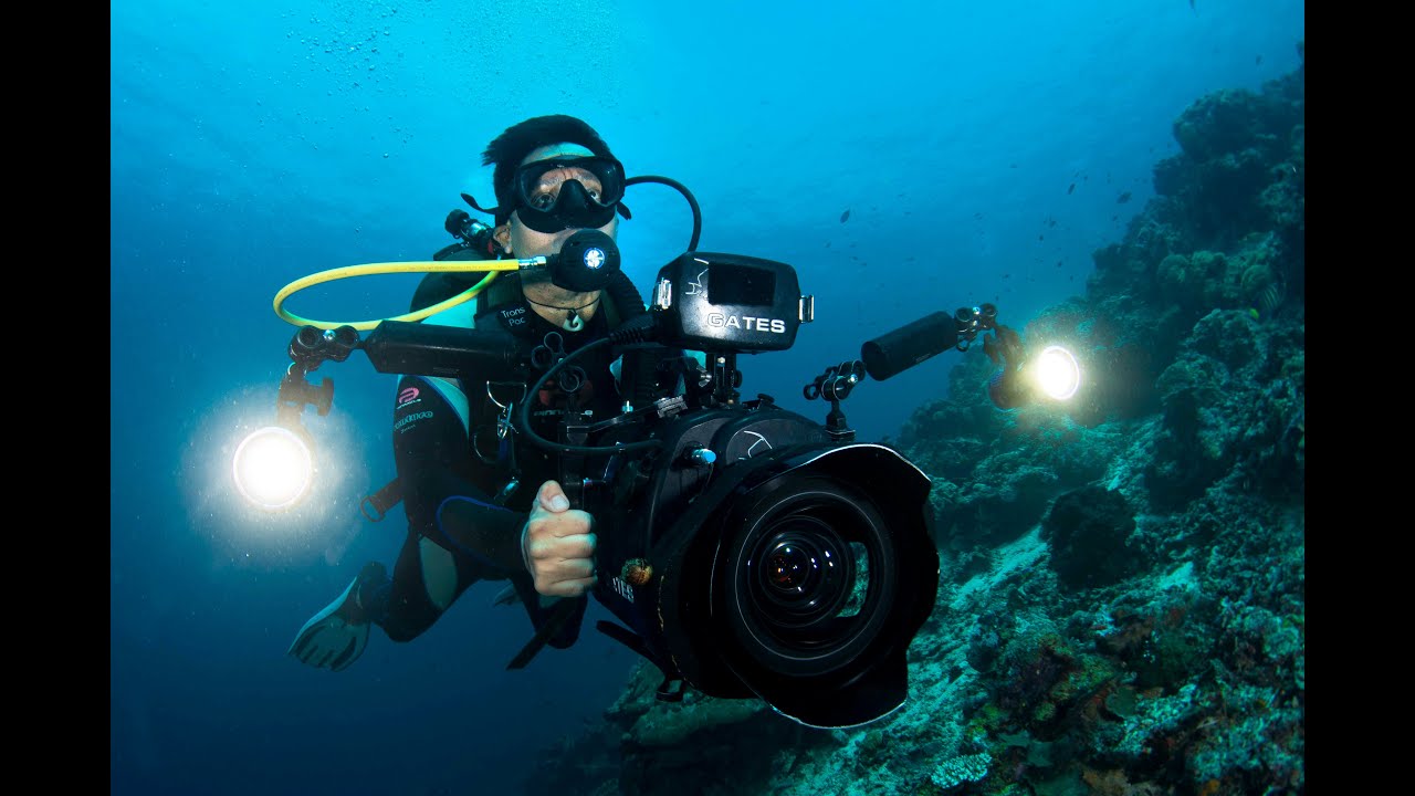 A Day in the Life of an Underwater Cameraman [HD] | Borneo from Below (S01E18) | SZtv