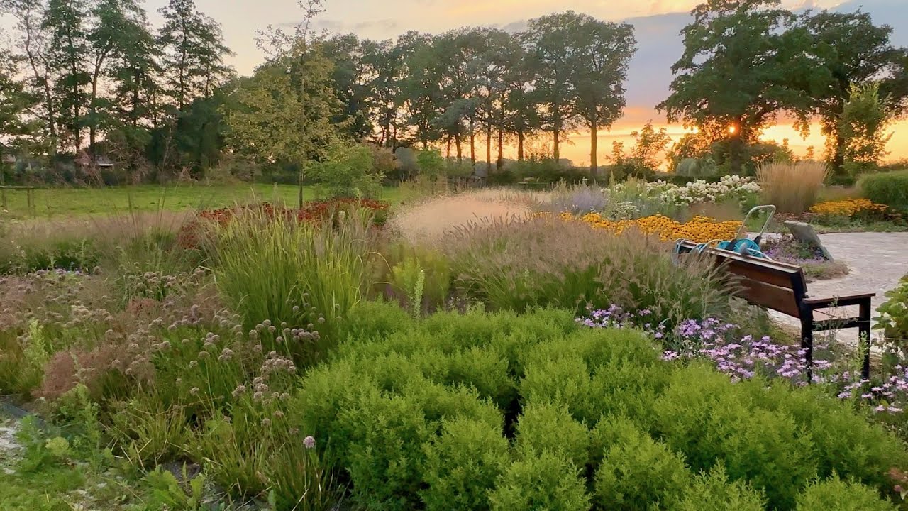 Rondje door de natuurtuin en imkerij 15-08-23