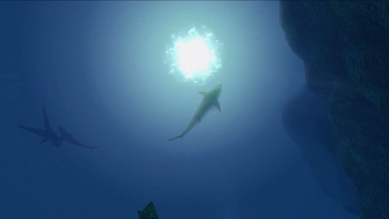 A Tour of Cicero's Straight | Endless Ocean: Blue World ambience