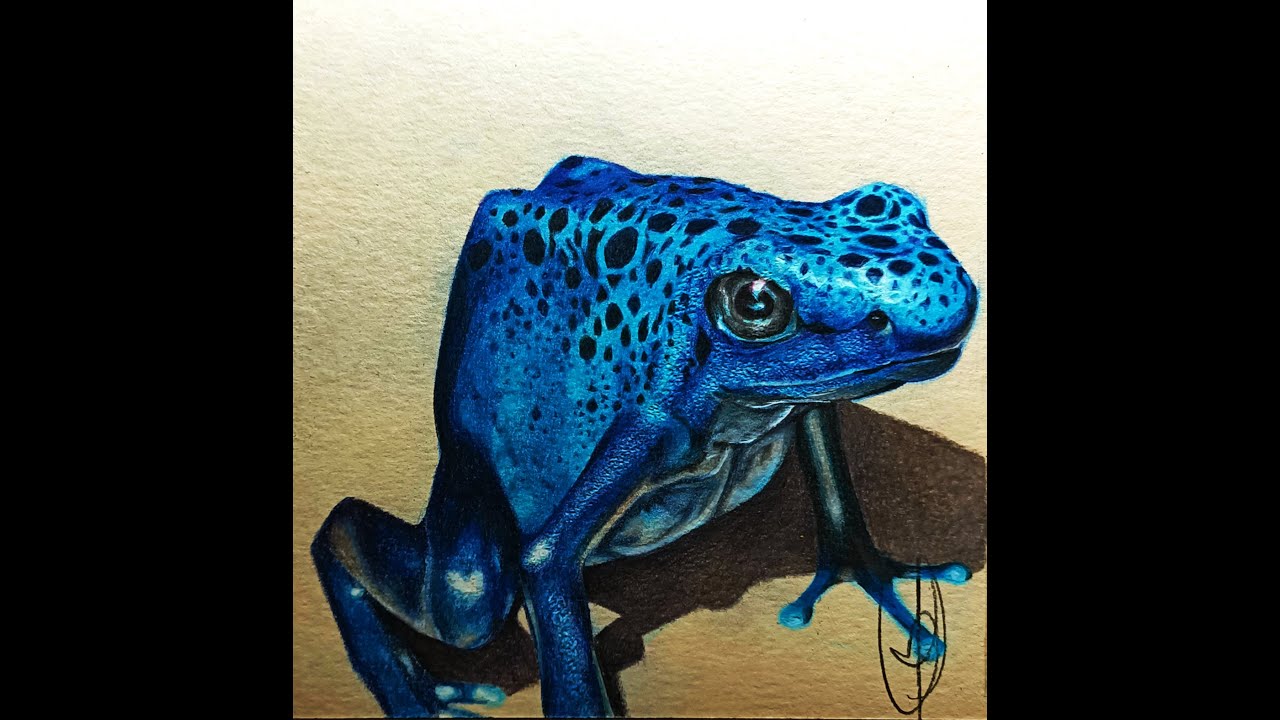 Revisión de los lápices de color Pablo, de Caran D'ache/Caran D'ache Pablo  Colored Pencils Review