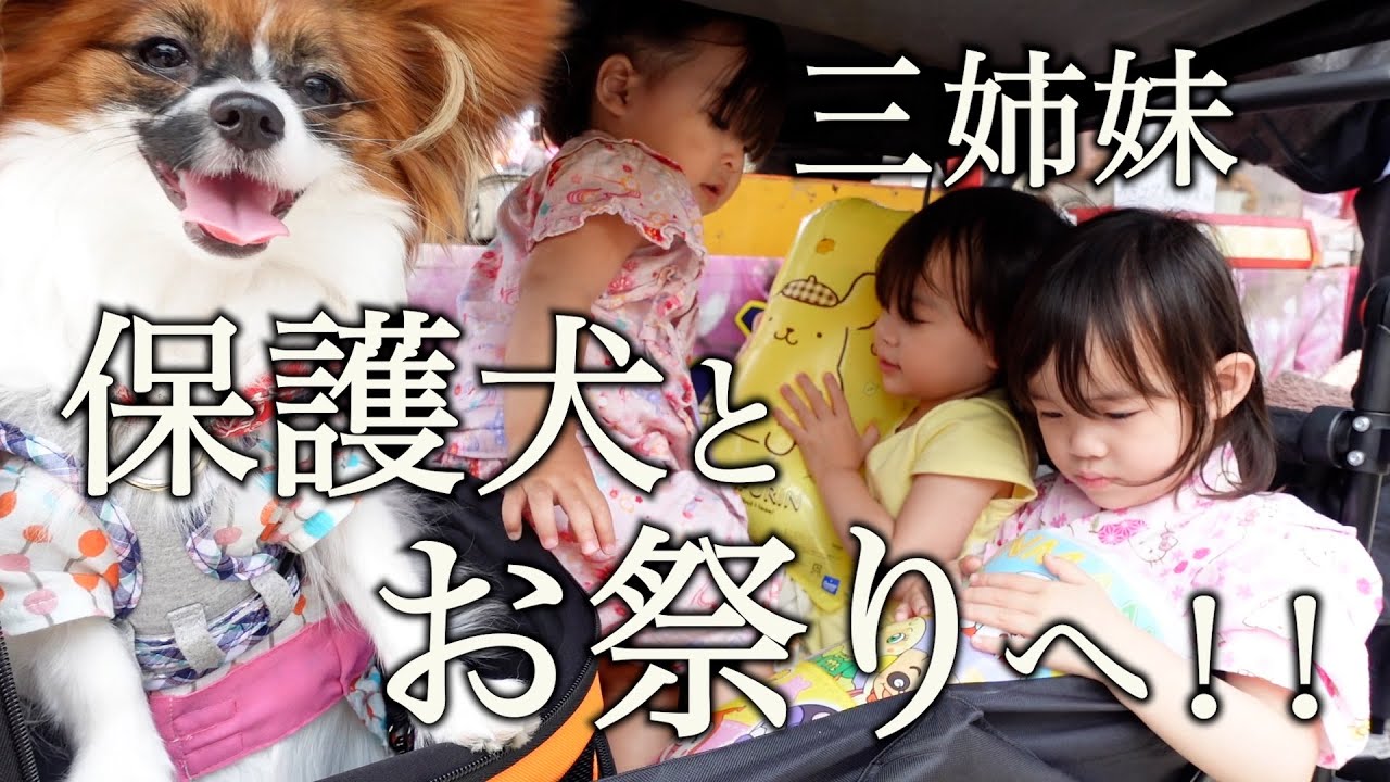 【大混乱】三姉妹と保護犬も浴衣を着てお祭りへ！キャラすくいや綿あめに大興奮！食いしん坊三女は爆食モード全開！？