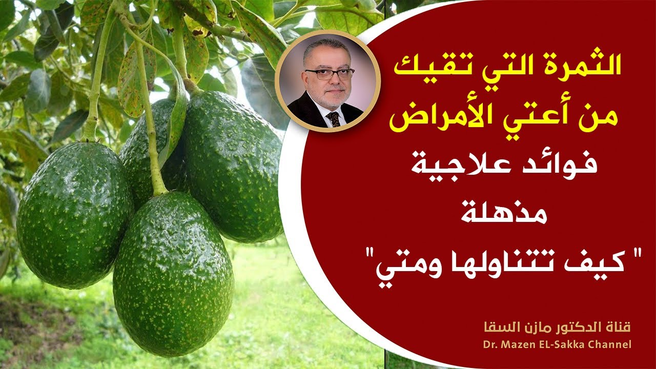 فوائد سوف تبهرك هل تعلم ماذايحدث لجسمك عند أكل الافوكادو فوائدتناول حبة أفوكادو واحدة يومي المدة شهر