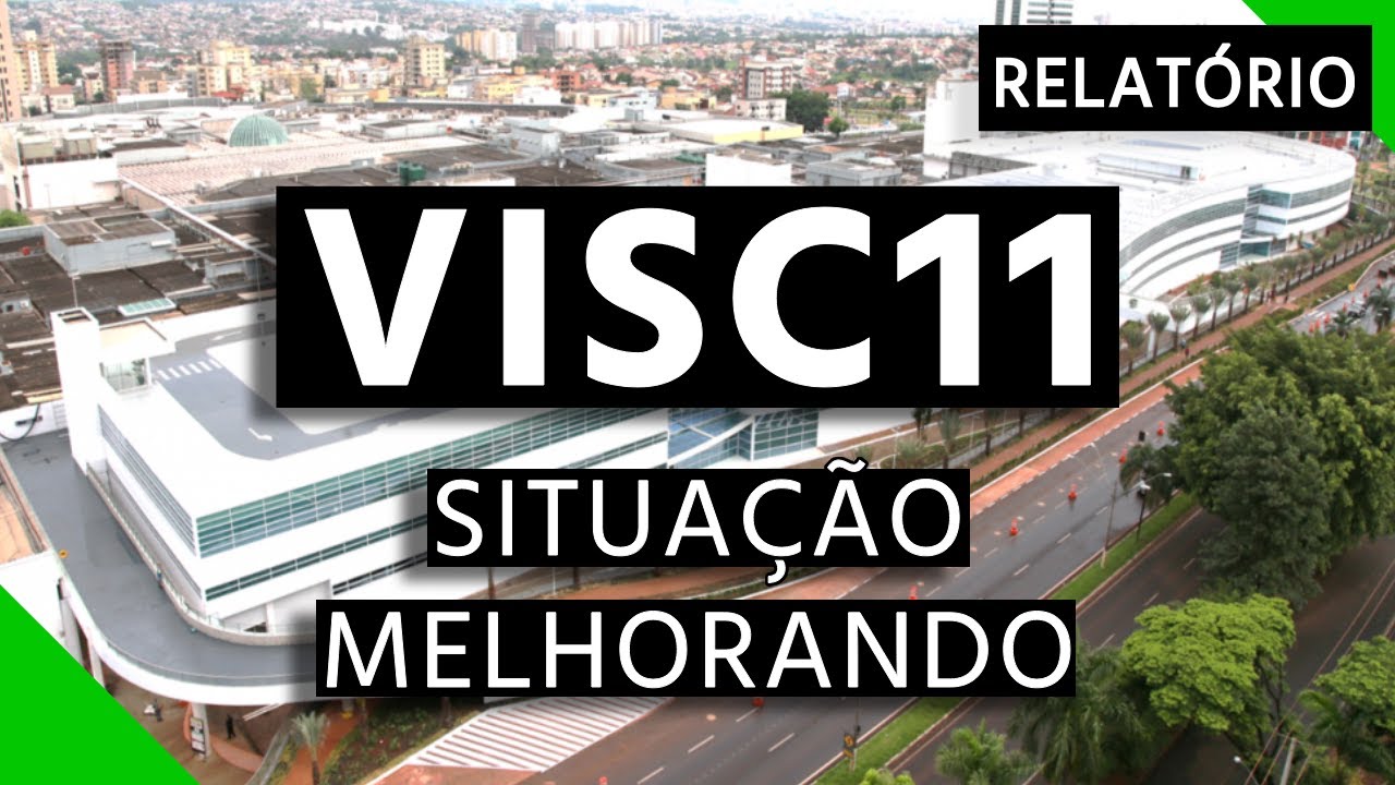 VISC11 - ALAVANCAGEM 