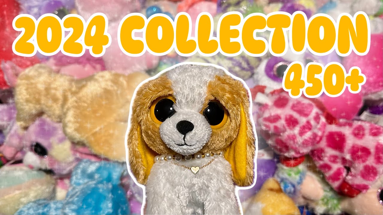 My Beanie Boo Collection || 2024