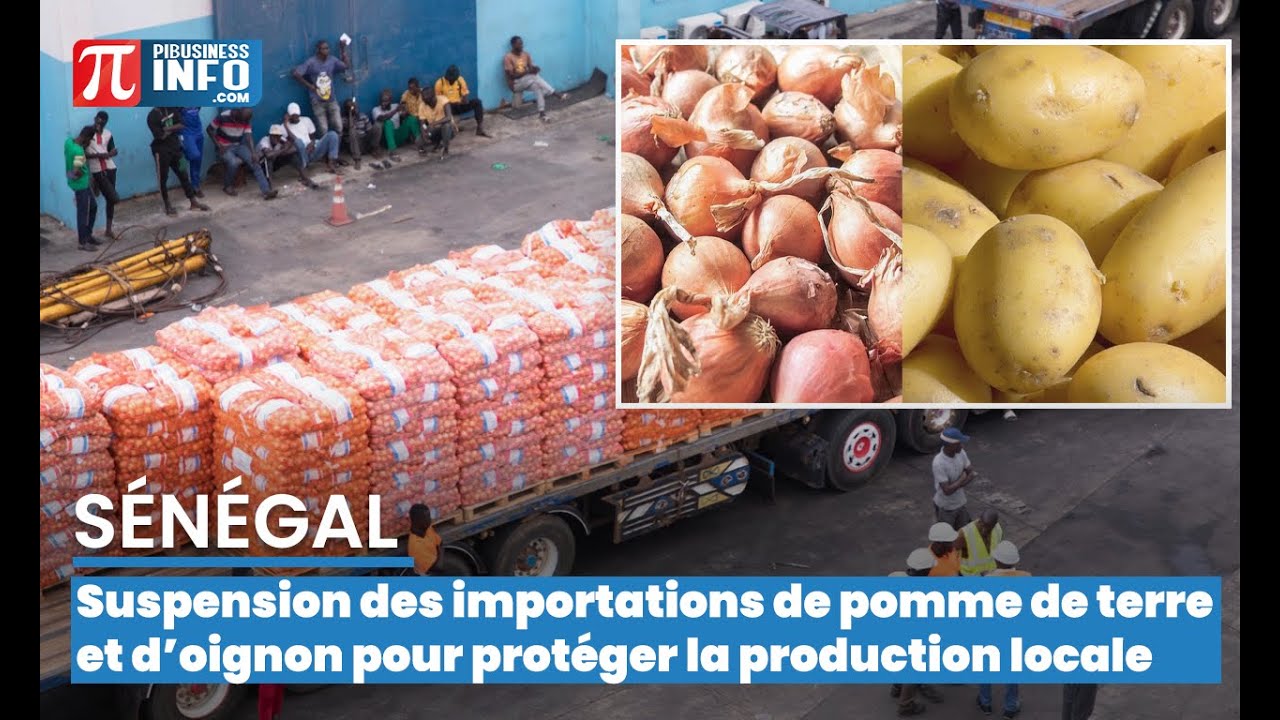 Le Sénégal suspend les importations de pomme de terre et d’oignon pour protéger la production locale