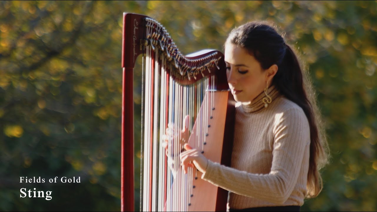 Sting - Fields of Gold (Harp Cover) Josephine Salvi