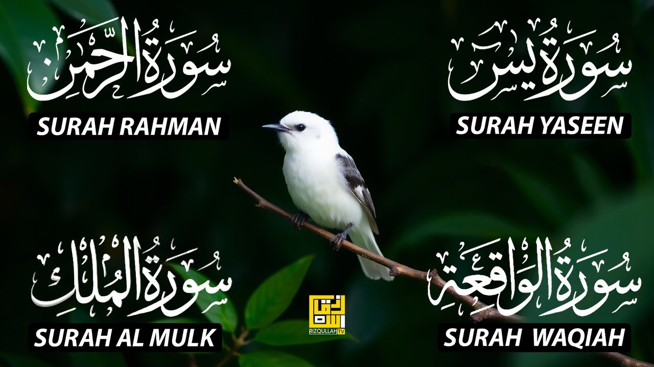 The Best Recitation Surah Yaseen (Yasin) | Surah Rahman | Surah Waqiah | Surah Mulk EP61