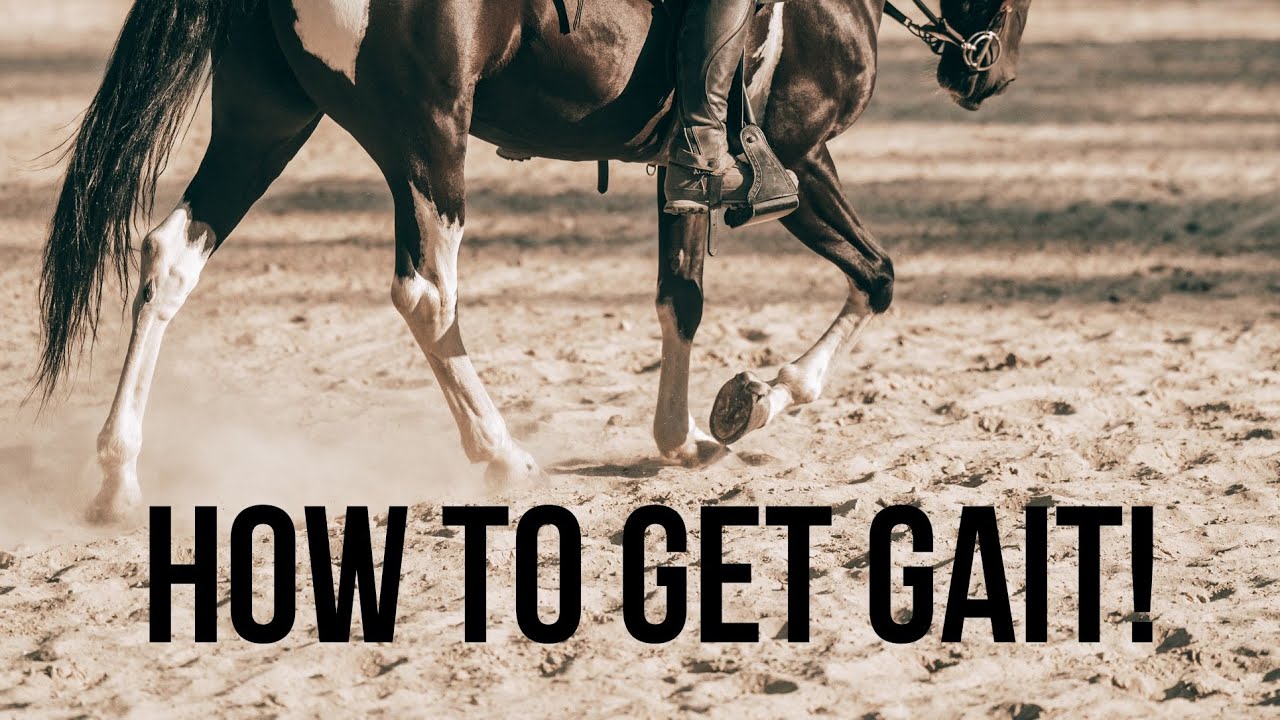 How DO you get gait?!?!