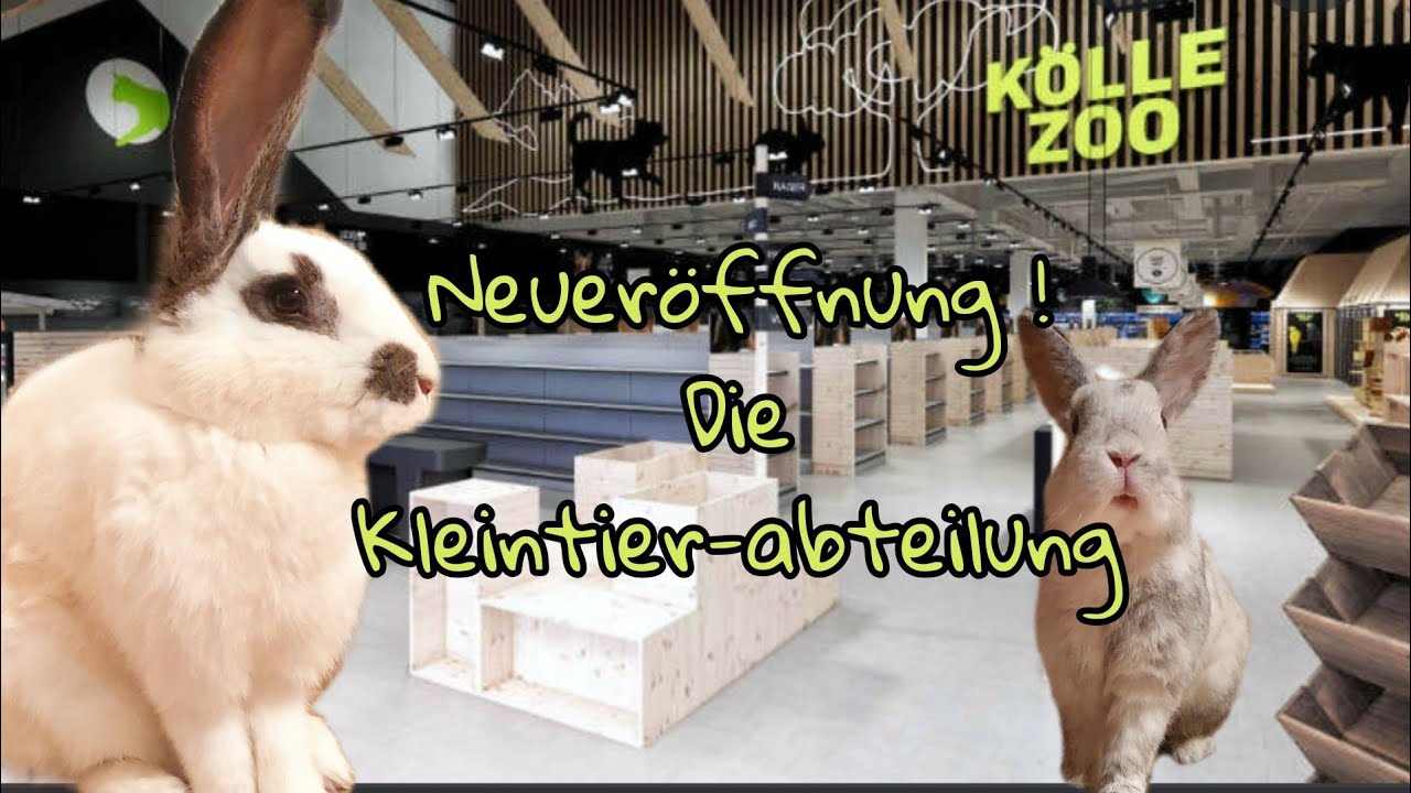 K&ouml;lle Zoo Neuer&ouml;ffnung! Die Kleintier Abteilung!