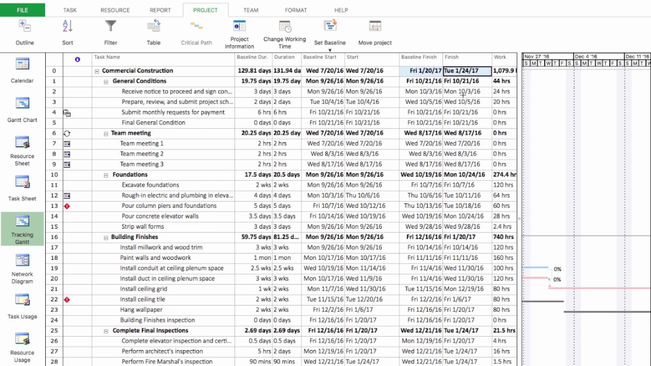 Project Plan 365 Tracking
