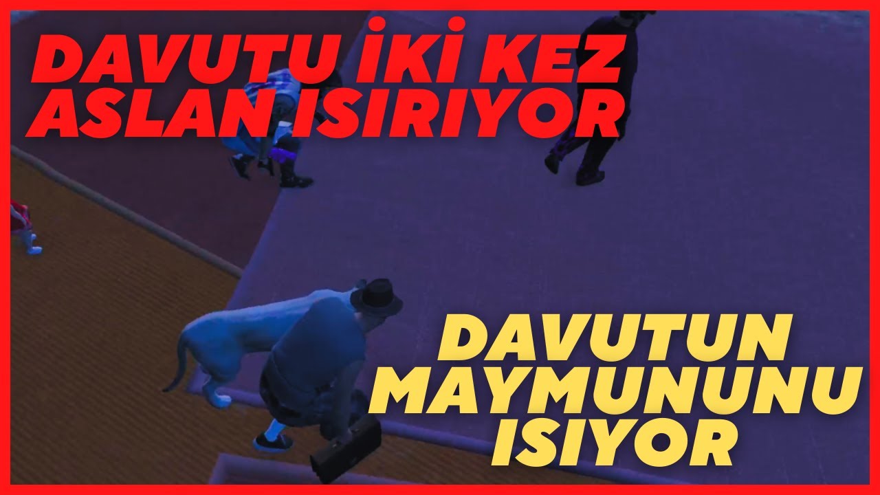 DAVUTU TOPLANTIDA ASLAN ISIRIYOR MAYMUNU DA ISIRIYOR #VRRP