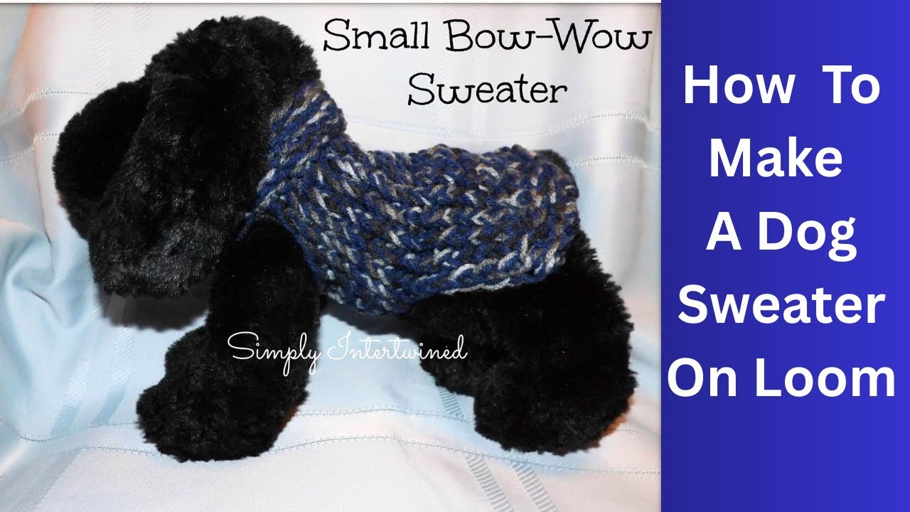 Small Bow Wow Sweater Pattern For A Dog