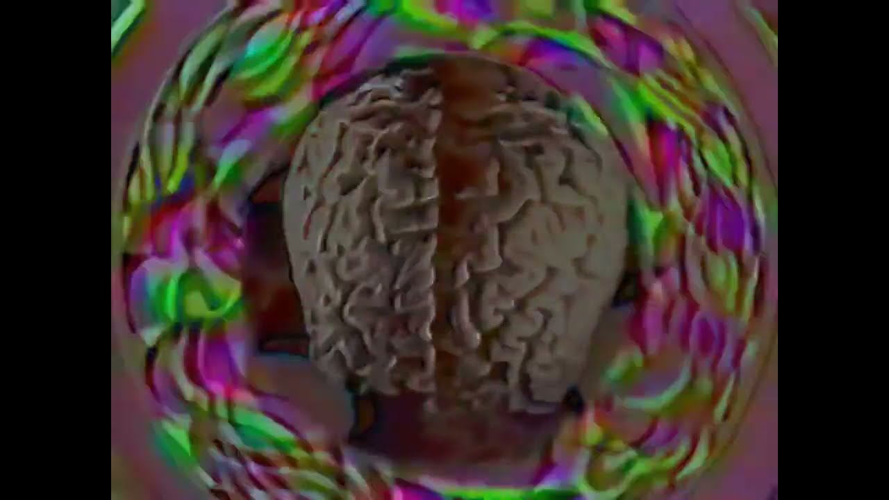 HOW TO OPERATE YOUR BRAIN | Dr. Timothy Leary