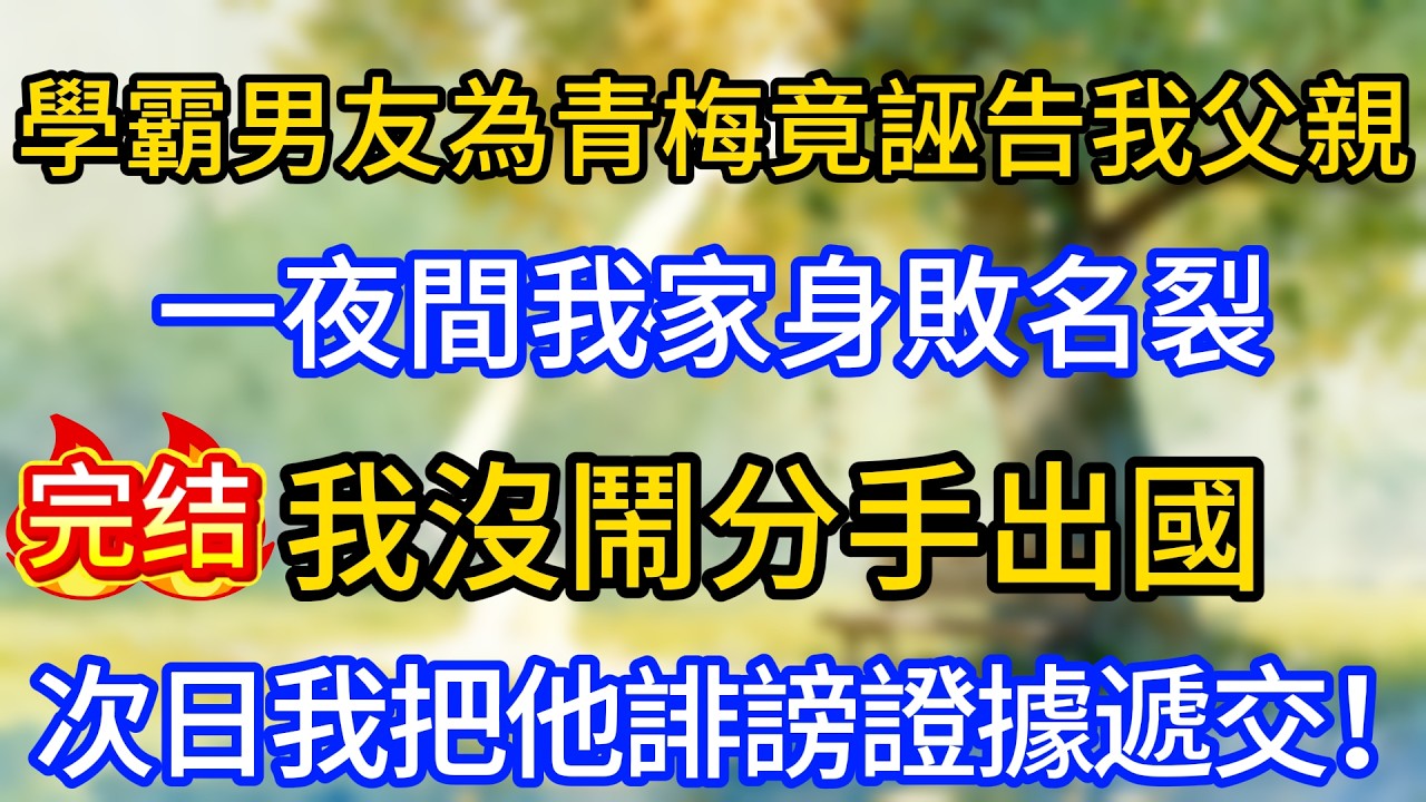 學霸男友為青梅竟誣告我父親，一夜間我家身敗名裂，我沒鬧分手出國，次日我把他誹謗證據遞交！