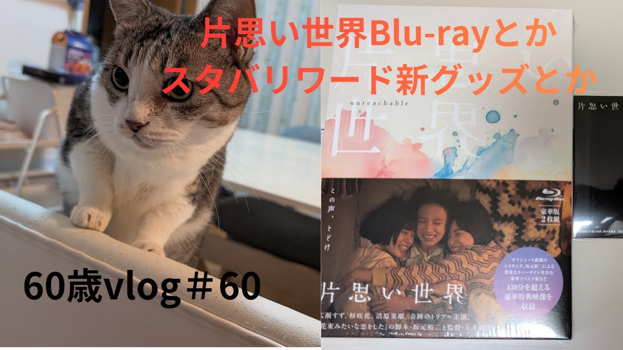 ＜60歳Vlog＞＃60 孫ちゃんが遊びに来た/片思い世界Blu-ray/ スタバリワードの新グッズ/コストコ購入品　#片思い世界　#コストコ
