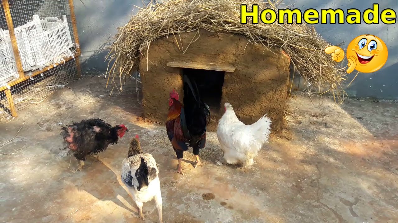 How To Build a chicken Coop | Hen House Making With Mud and Bricks | Mud Art and Craft Ideas