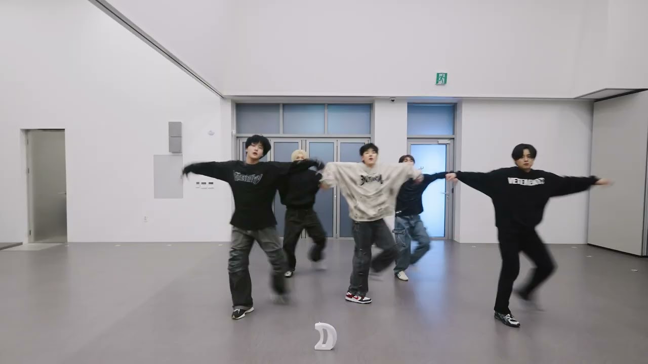 (DKZ) Replay My Anthem dance practice (거울 모드 mirror ver.)