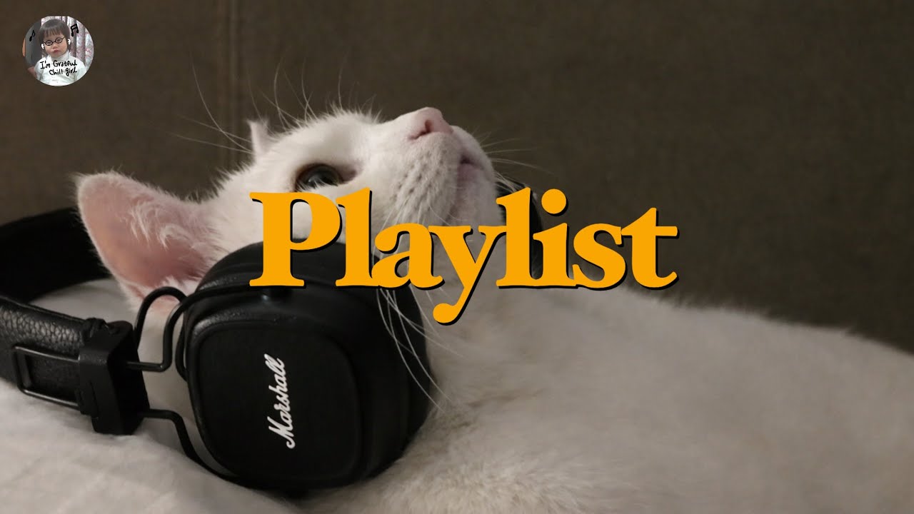똑순이 playlists | 여섯 시에 내 고양이랑 듣는 재즈 플레이리스트 | Jazz Playlist