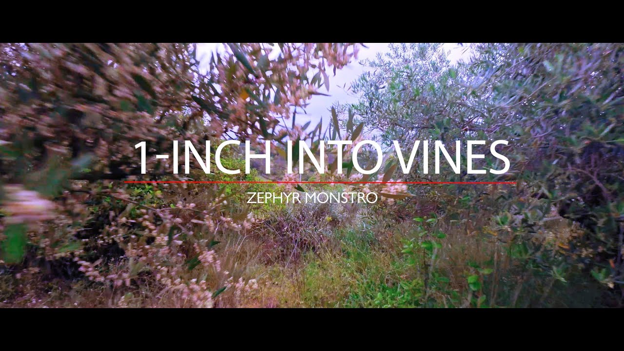 The Zephyr Monstro flying with the Insta360 ONE R 1-INCH onboard into vines and between trees