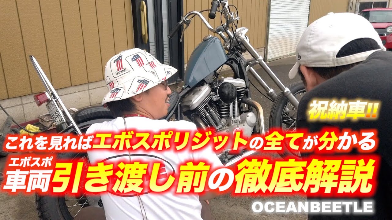 【迷ってる方必見】エボスポリジット徹底解説!!