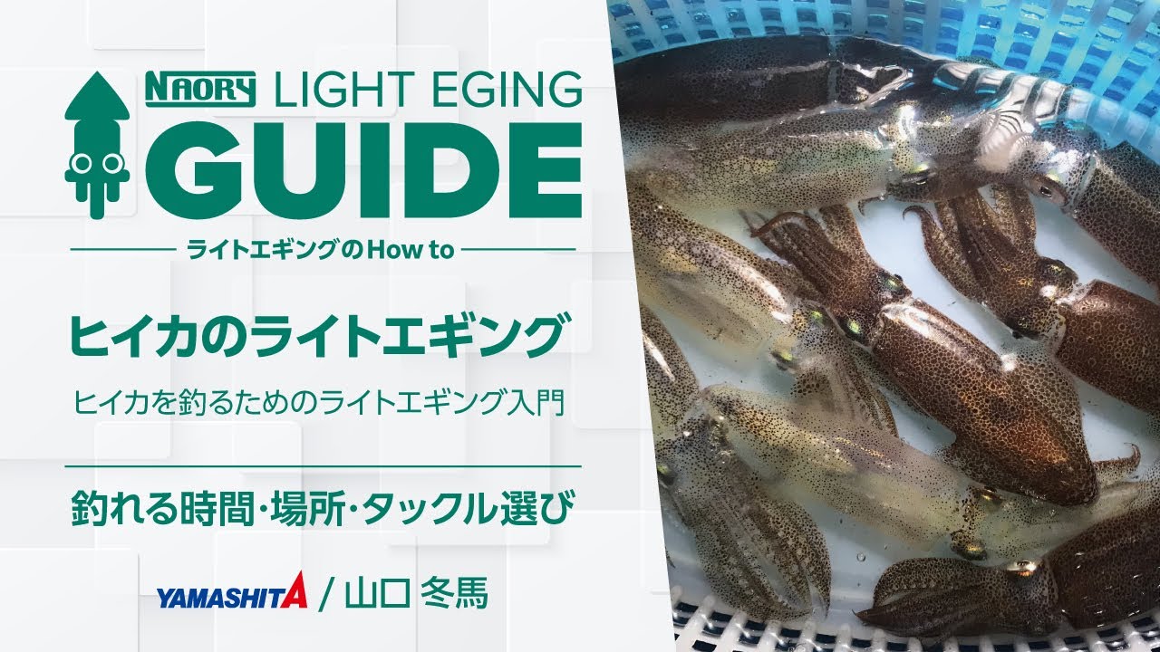 【初心者必見】ヒイカのライトエギング完全解説！釣れる時間・場所・タックル・実釣まで紹介【ライトエギングガイド】