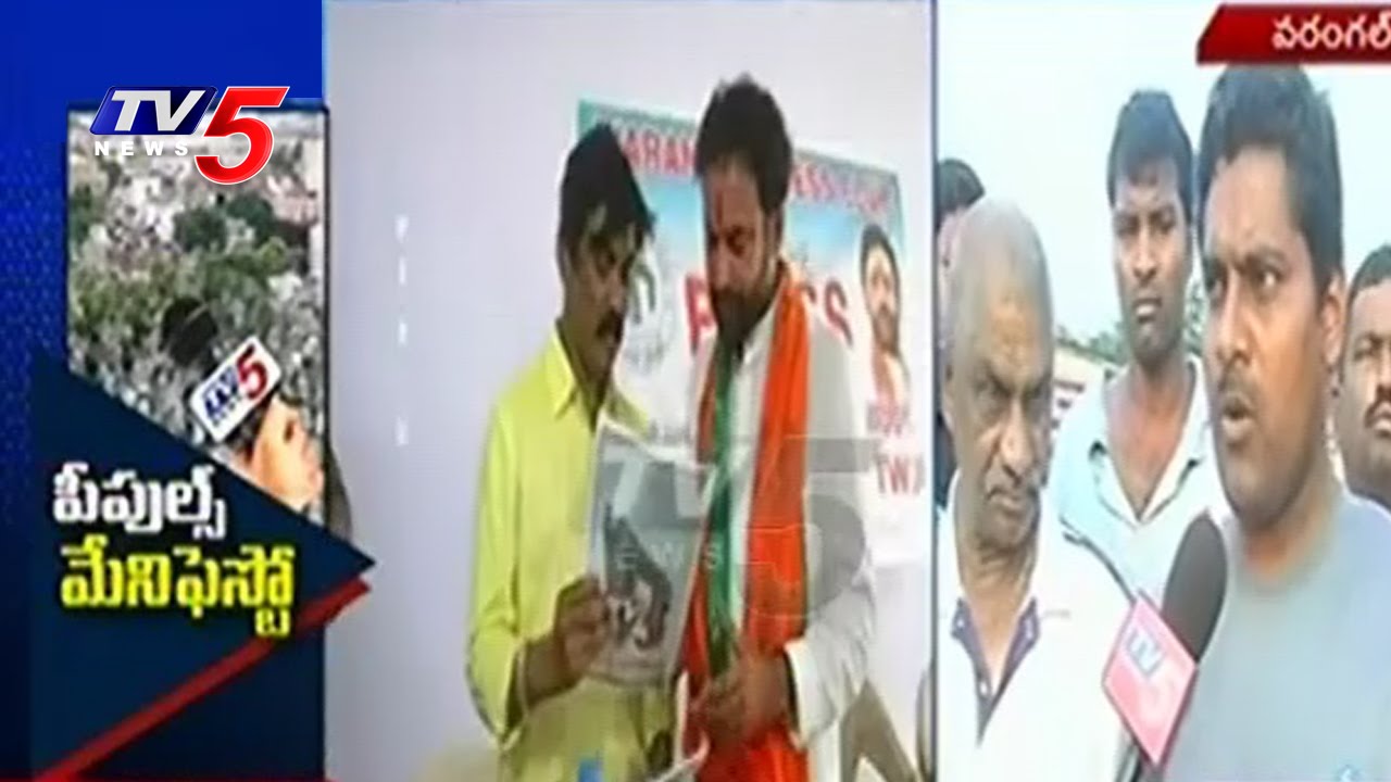 Problems Mentioned In TV5 Peoples Manifesto Are 100% True, says People | Warangal | TV5 News