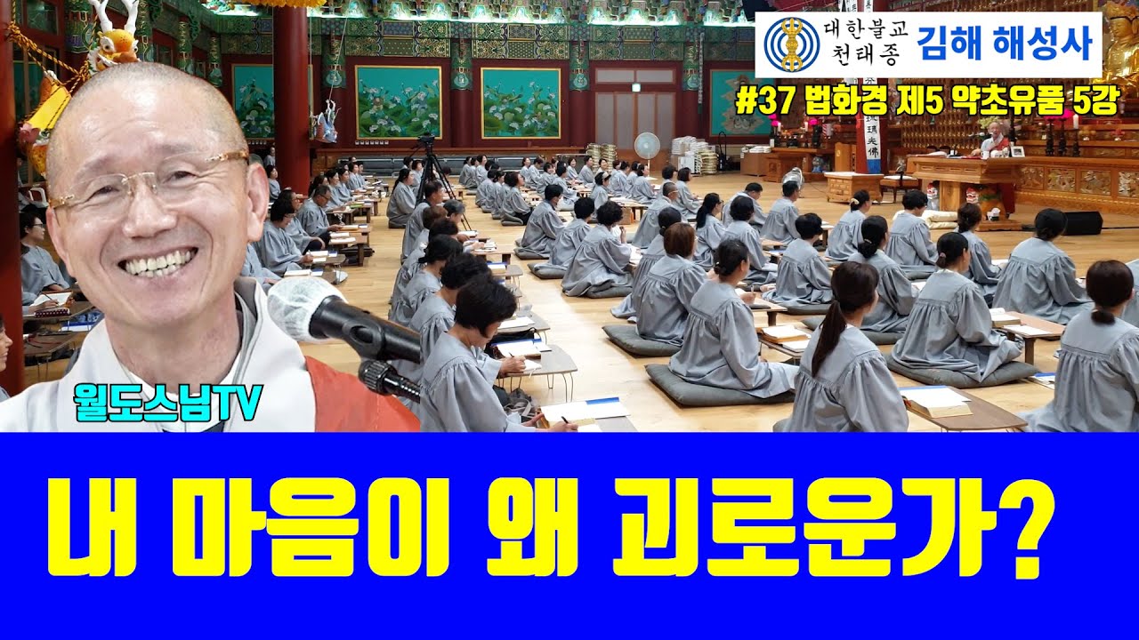 내 마음이 왜 괴로운가?(#37 해성사 법화경 제5 약초유품 5강 )