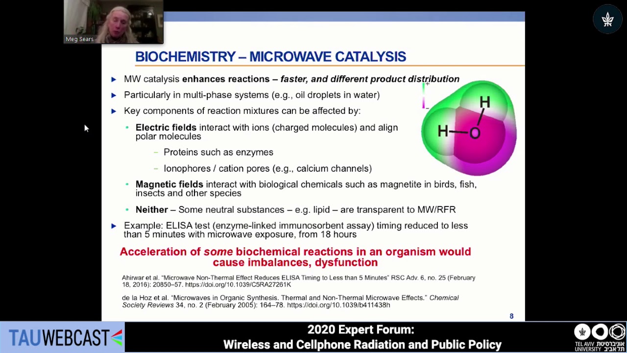 Wireless (MW/RF) radiation harms without heating: How we know, and implications