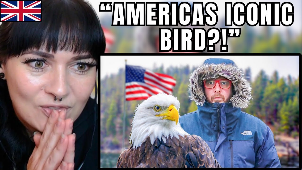 British Girl Reacts to America’s Iconic Bald Eagle 🇺🇸 — I Didn’t Know This!