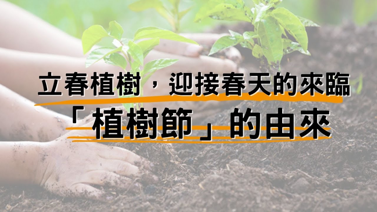 立春植樹，迎接春天的來臨&mdash;來了解植樹節的由來吧！